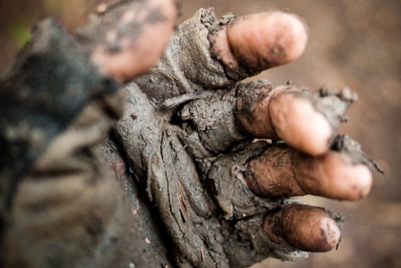 Gloves in mud